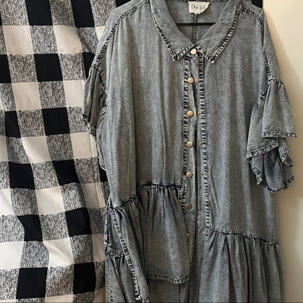 Zadie B’s Gray Button-Up Denim Shirt